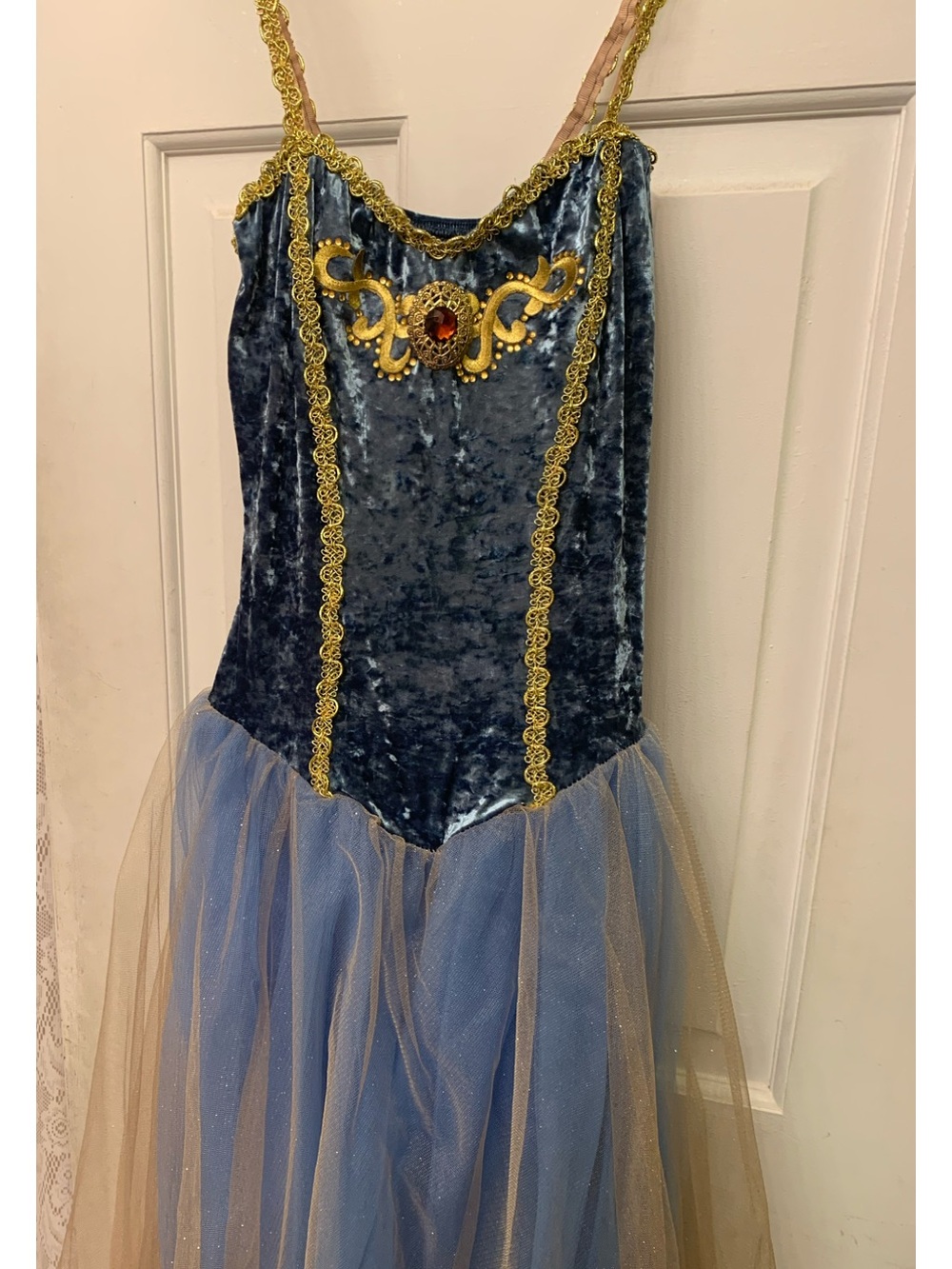 Elegant Blue Velvet Princess Costume Dress with Gold Trim